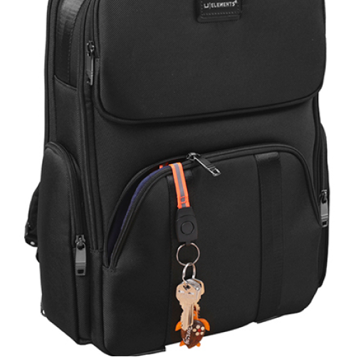 Quick release key ring