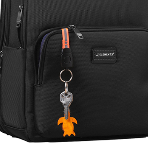  Quick release key ring 