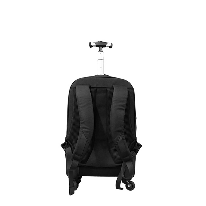 Back