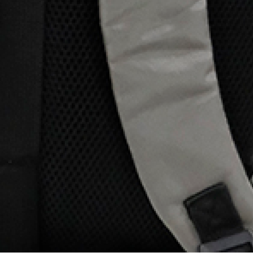 Padded adjustable back straps